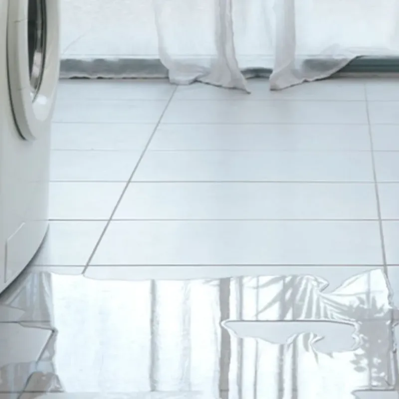 Appliance Leak Cleanup in Lineville, AL