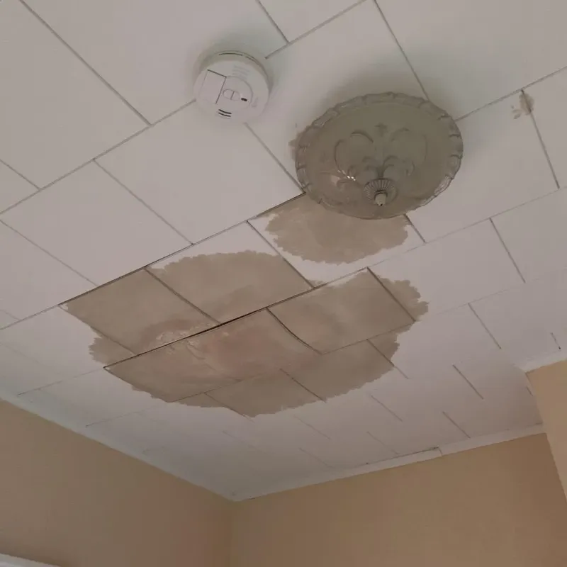 Ceiling Water Damage Repair in Lineville, AL