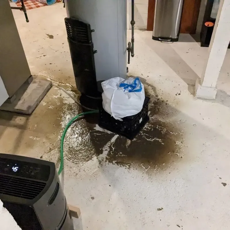 Sewage Backup Cleanup Service in Lineville, AL